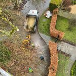 tree cutting and pruning