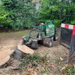 stump removal machine