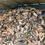 wood logs for sale