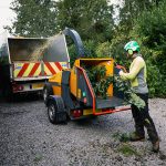hedge removal
