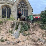 tree and stump removal