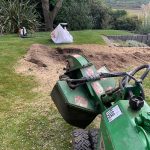 stump removal